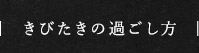 きびたきの過ごし方