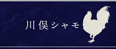 川俣シャモ